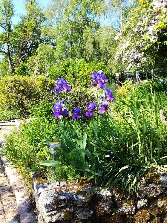 Les Jardins De Camelot Bed & Breakfast Villegouge Екстериор снимка